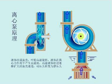 離心泵工作原理(圖1) 離心泵工作原理(圖1)