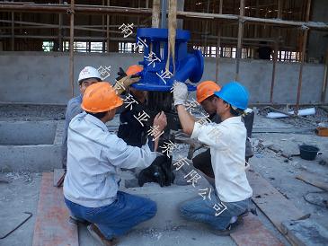 南京龍?zhí)端畯S用 300RJC185-12*4長(zhǎng)軸深井泵指導(dǎo)安裝完畢(圖2)