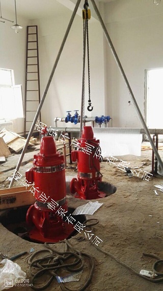 1.jpg 河北“安國(guó)數(shù)字中藥都項(xiàng)目”用軸流深井消防泵安裝調(diào)試完畢(圖2)