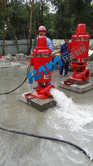 QQ圖片20160806103516.jpg 浙江“大鵬藥業(yè)項目”用軸流深井消防泵安裝調(diào)試完畢(圖3)