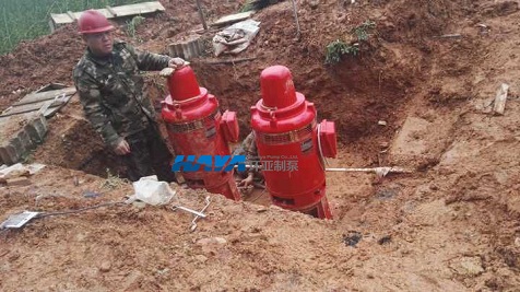 2.jpg 江西 ‘仙女湖5A景點”項目用軸流深井消防泵安裝調(diào)試完畢(圖2)