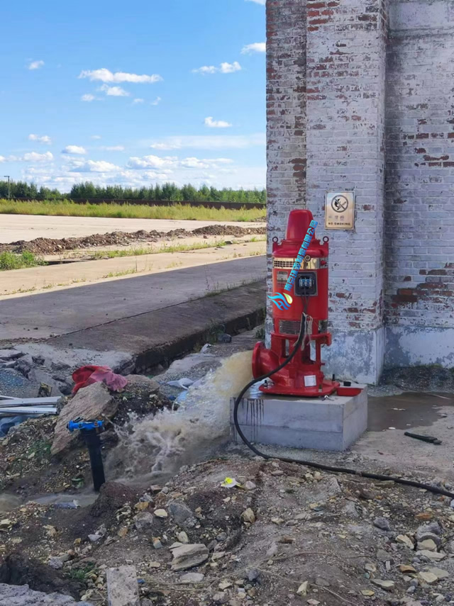 黑龍江省某糧庫長軸深井消防泵項目(圖2) 8f6521607698aa2fd2b08ca60d6198b.jpg